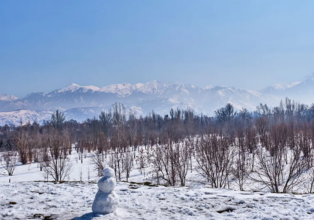 Kashmir 06-Night Experience: A Journey Through Paradise
