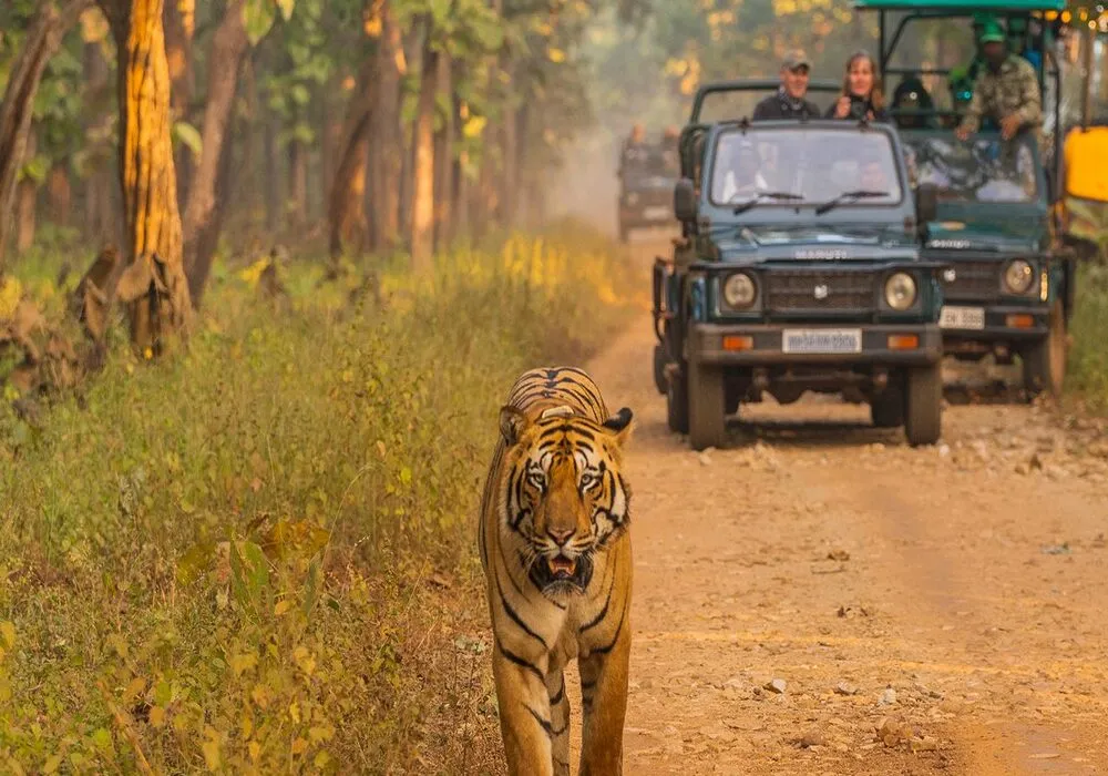 Goa & Dandeli Wilderness Escape – 6 Days and 5 Nights